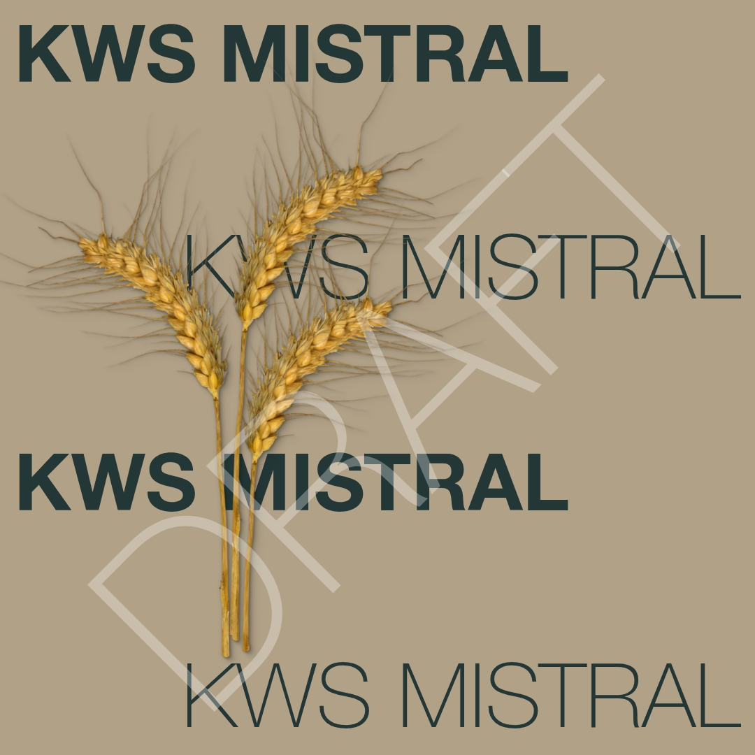 KWS_MISTRAL_Keyvisual_FI_1x1.jpg