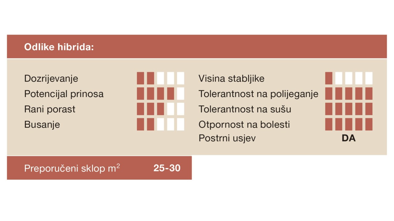 kws_lupus_grafik-2.jpg