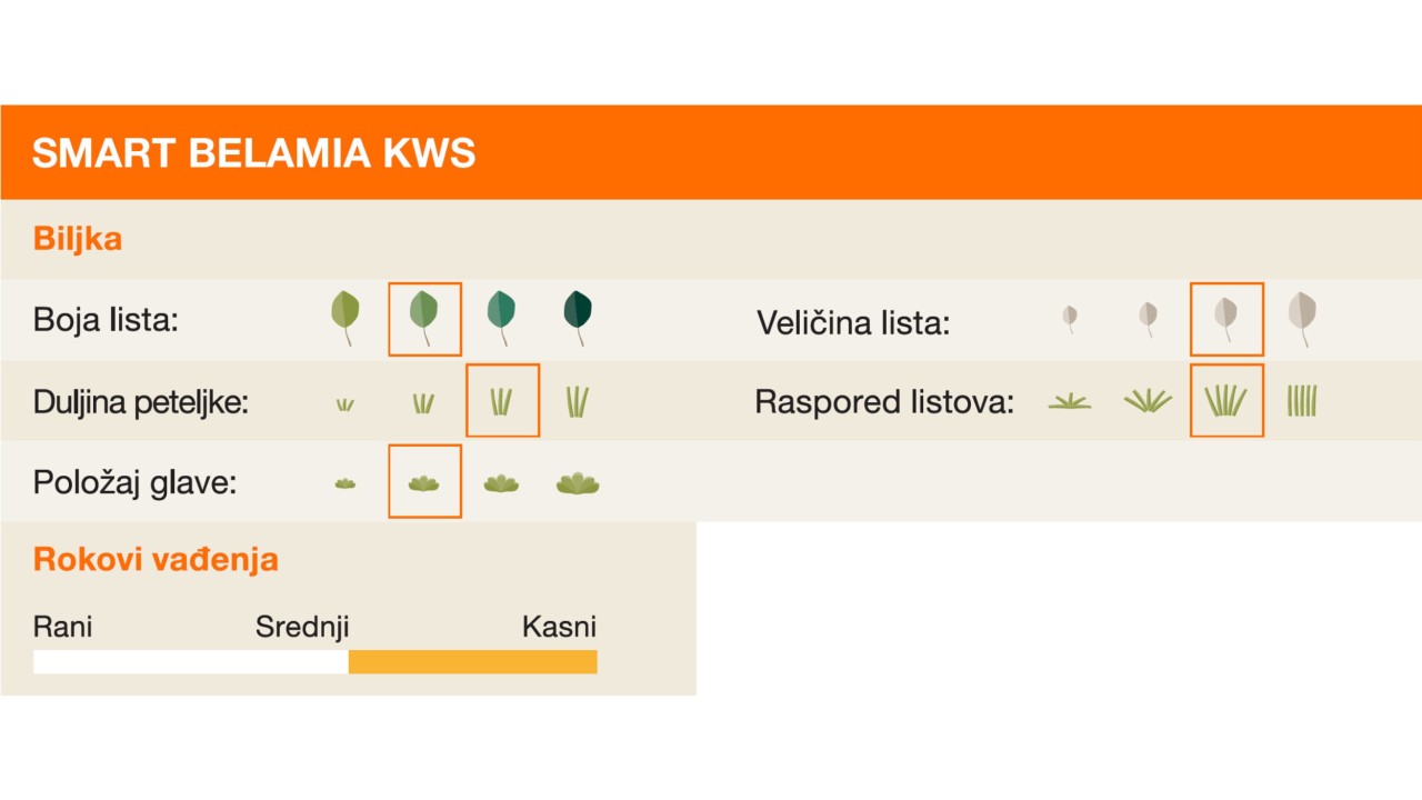 kws_smart_belamia_kws_6-2.jpg