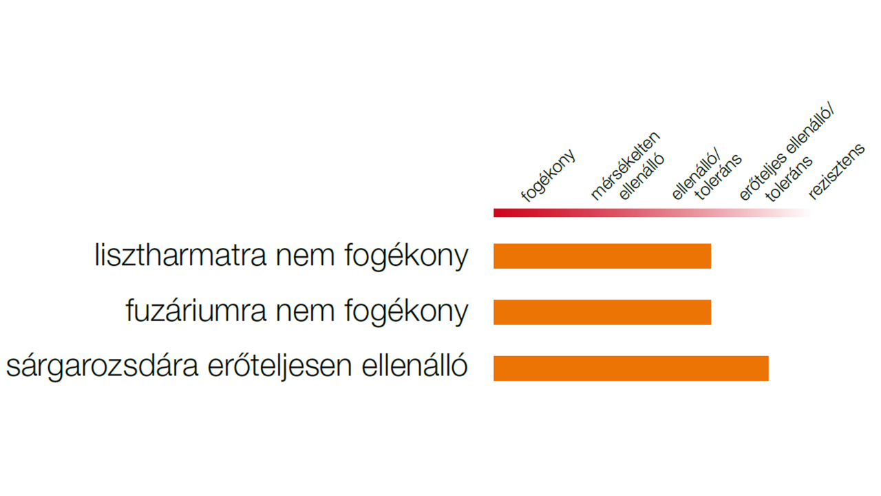 figaro_grafic.png