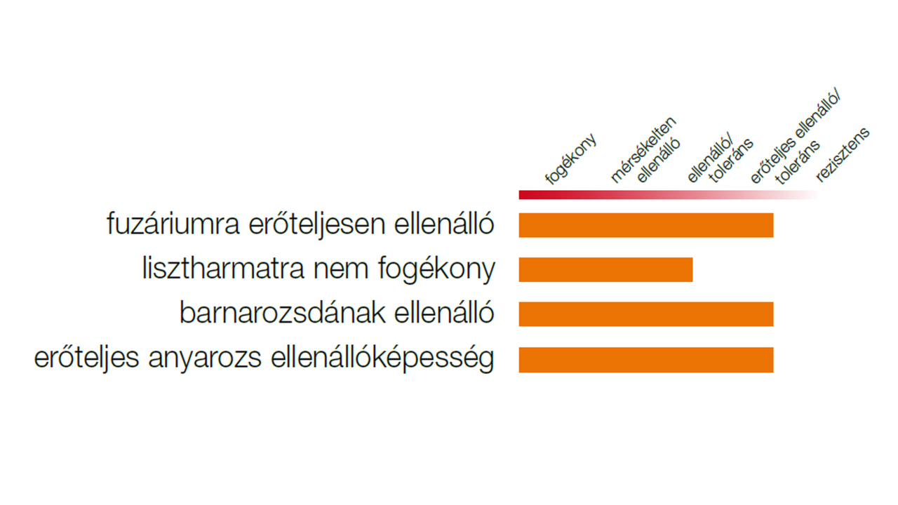 kws_serafino_grafic.png