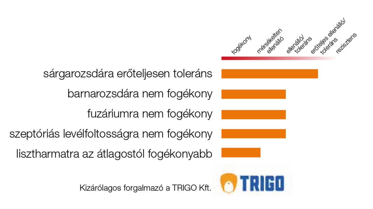 vyckor_grafic.png