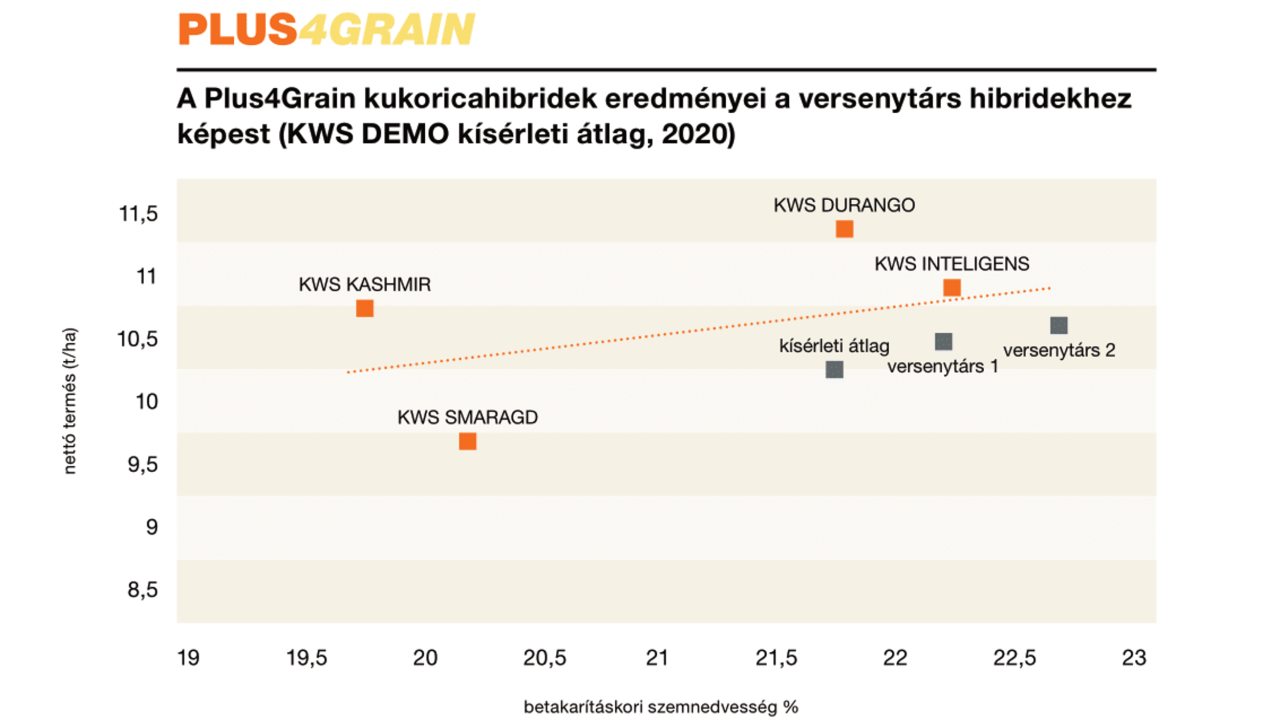 kws_a_plus4grain_kukorica_hibridek_eredmenyei_a_standard_kws_hibridekhez_kepest_2019.jpg
