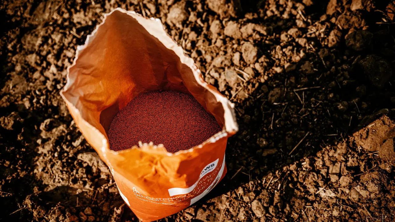 KWS_INITIO_rapeseed_sowing_030_sRGB.jpg