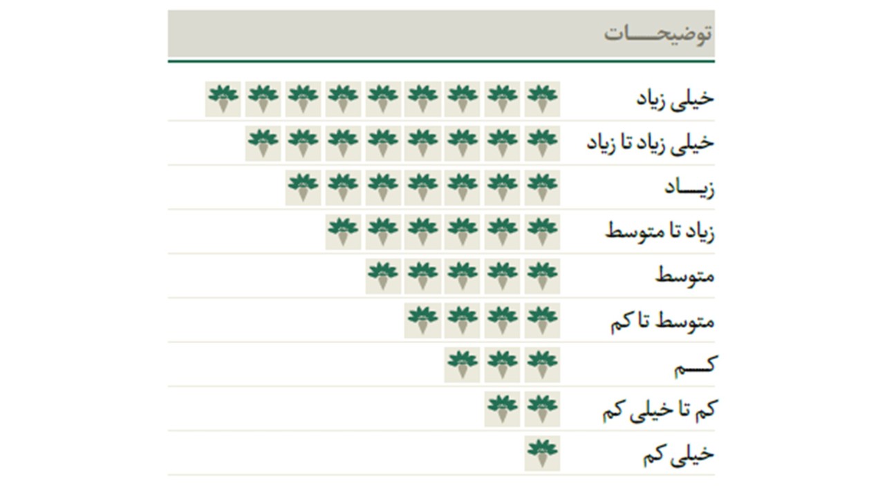 kws_brigitta_kws_graphic_2.jpg