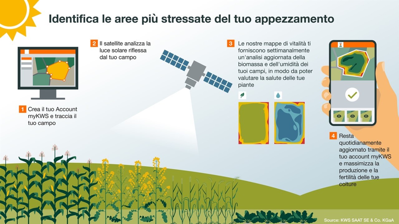 Infografica_Mappe-di-vitalità_myKWS.jpg