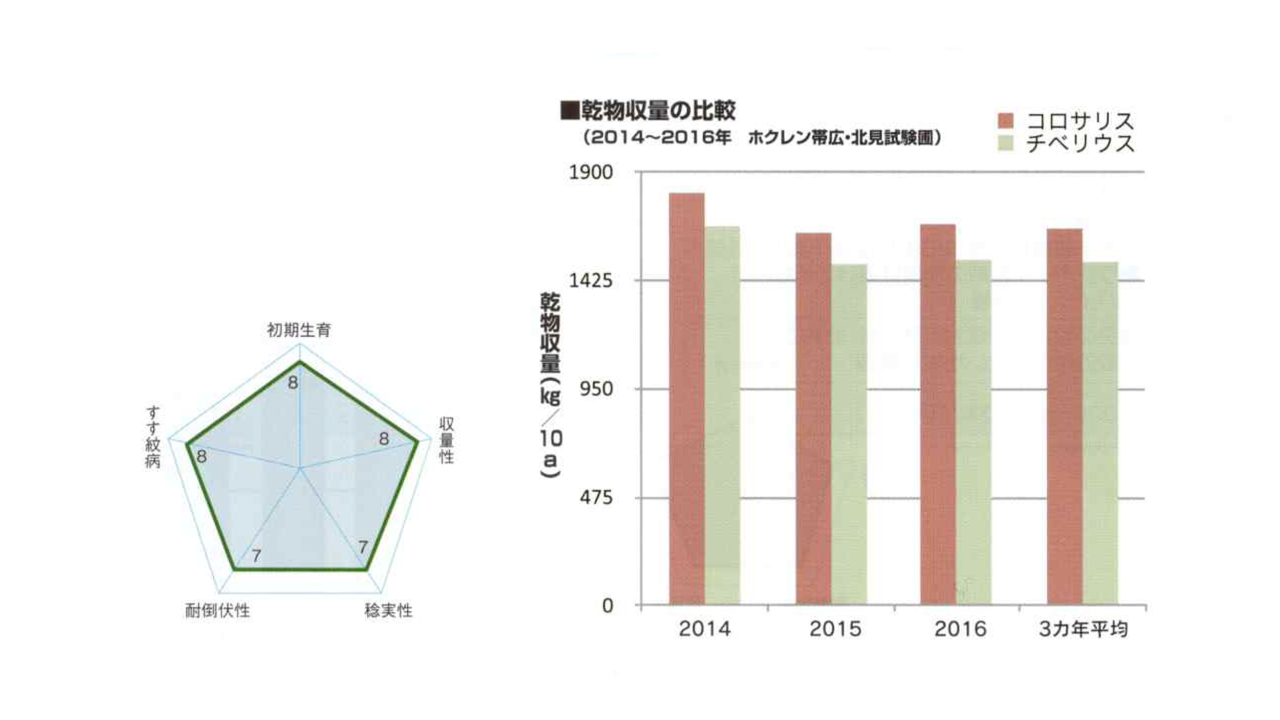 kws_kolossalis_jp_graphic.png