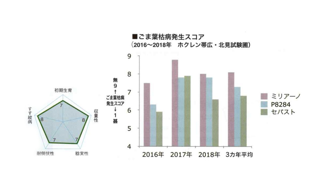 kws_miriano_jp_graphic.jpg