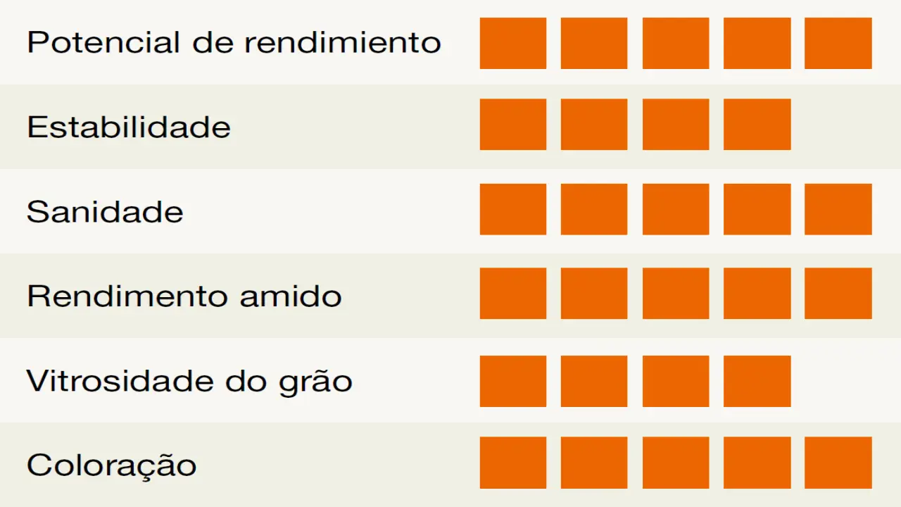 kws_Marcello-detalhes.png