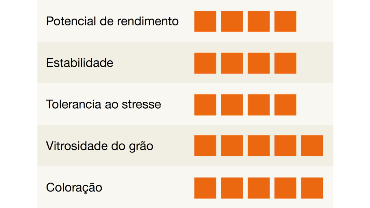 kws_brait_detalhes.png