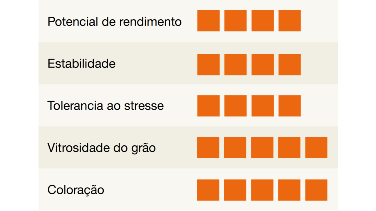 kws_eldorado_detalhes.png