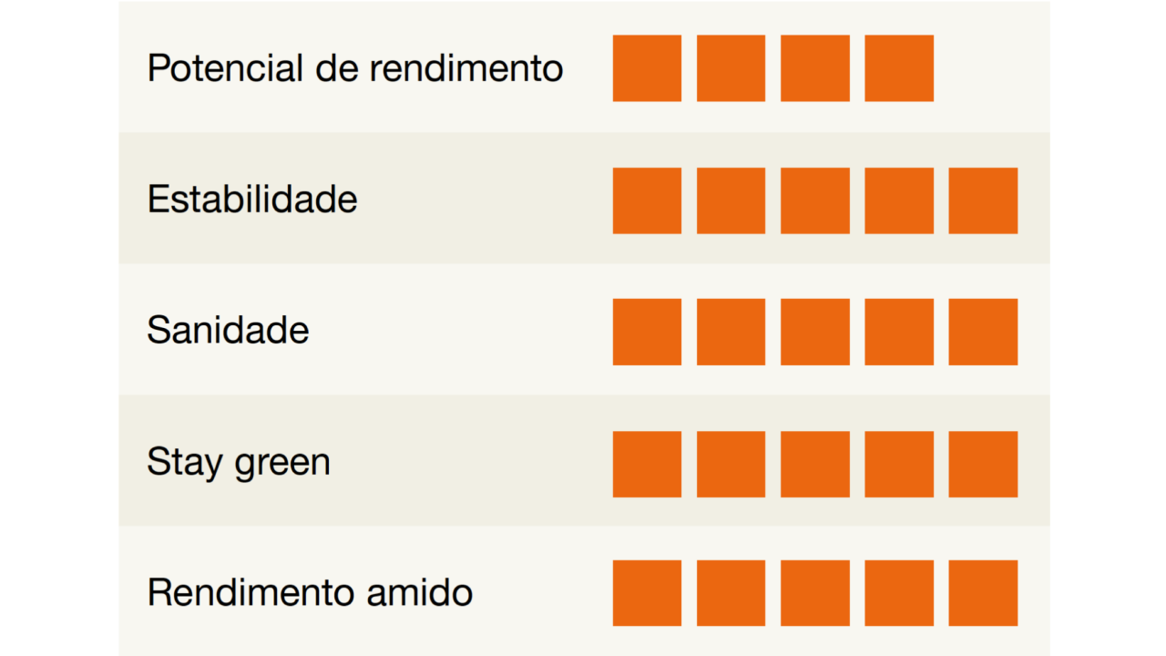 kws_konfites_detalhes.png