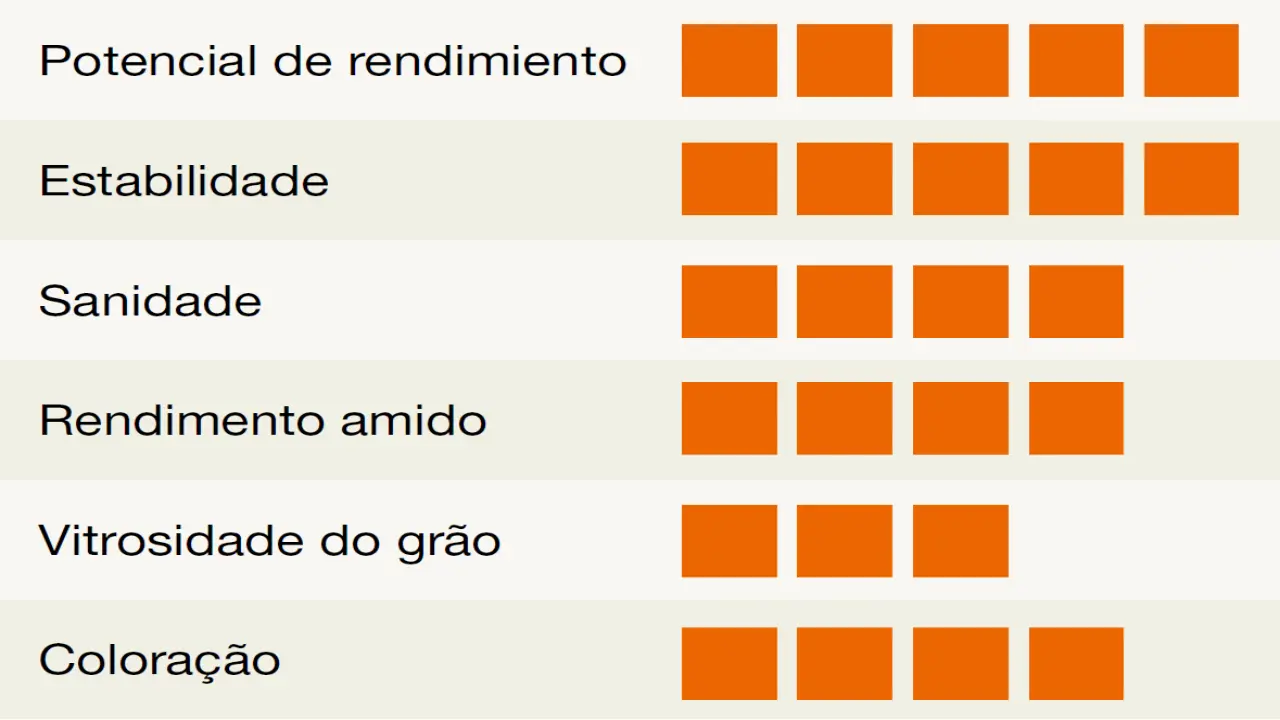 kws_krokus-detalhes.png