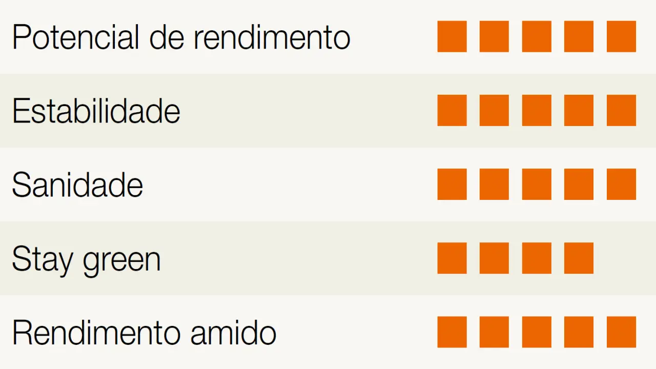kws_kws_inteligens-detalhes.png
