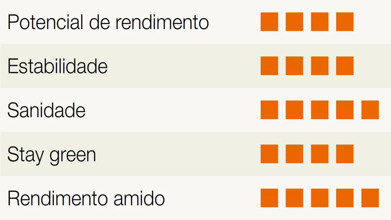kws_maredor-detalhes.png