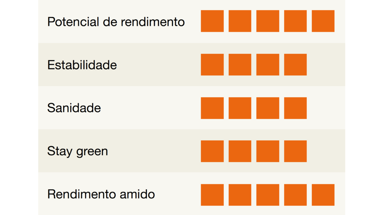 kws_pepino_detalhes.png