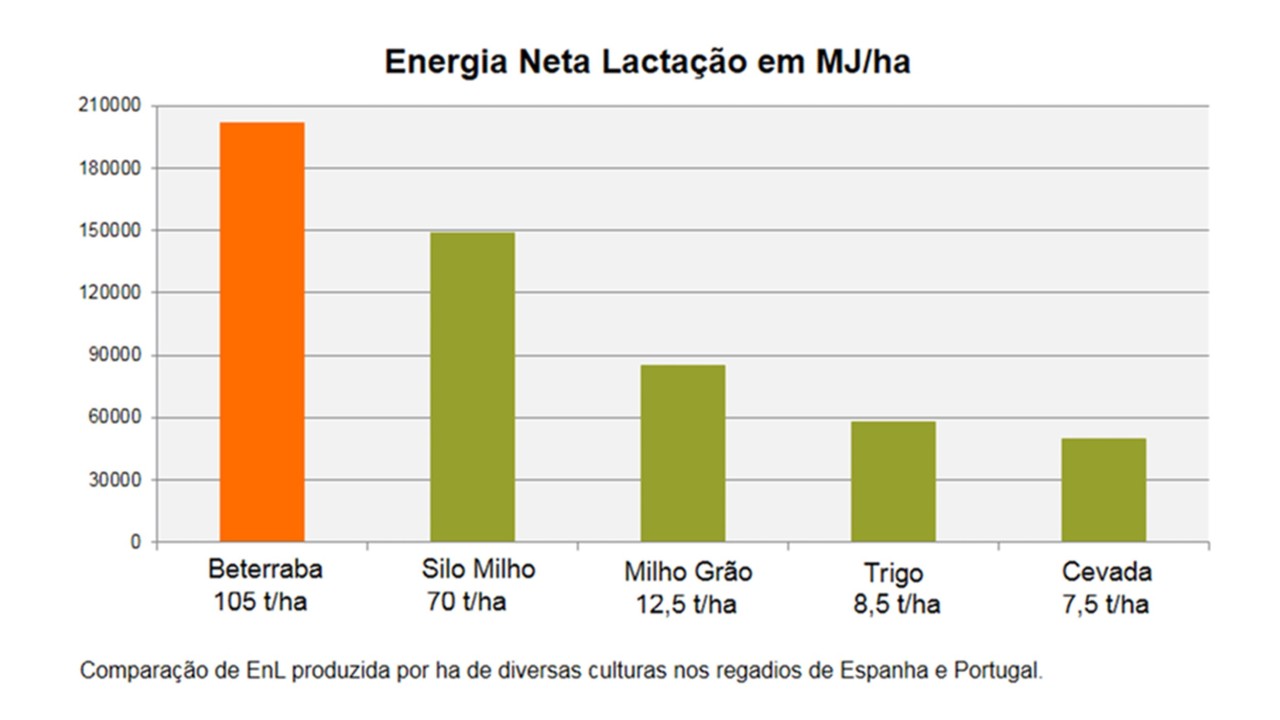 kws_pt_feedbeet_energia_neta_lactacao.jpg