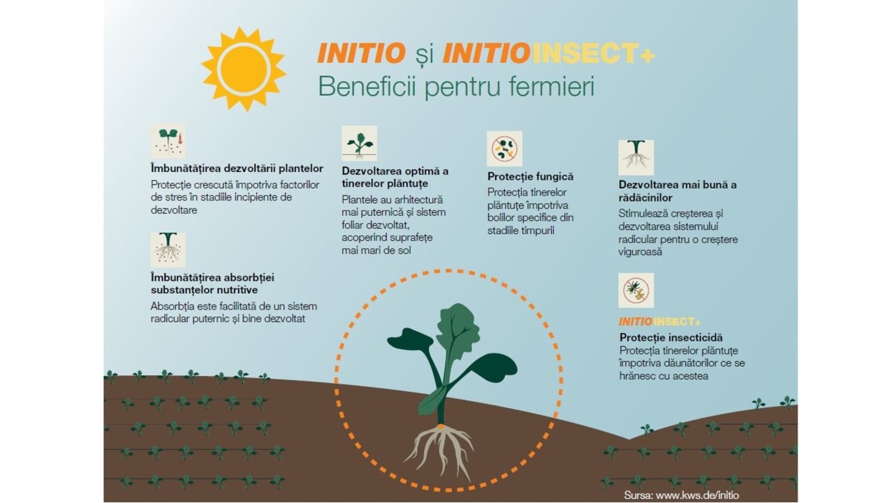 * Utilizaţi produsele de protecţie a plantelor în condiţii de siguranţă. Citiţi întotdeauna, înainte de utilizare, instrucţiunile de pe etichetă şi informaţiile referitoare la produs.