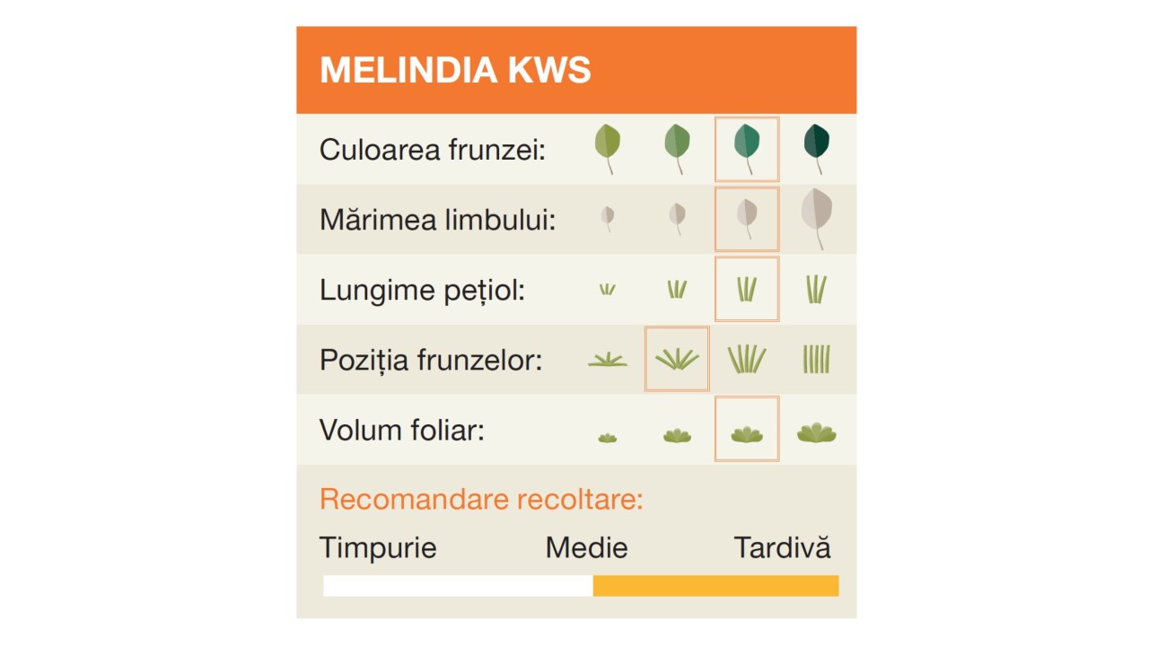 kws_melinda_kws_1.jpg