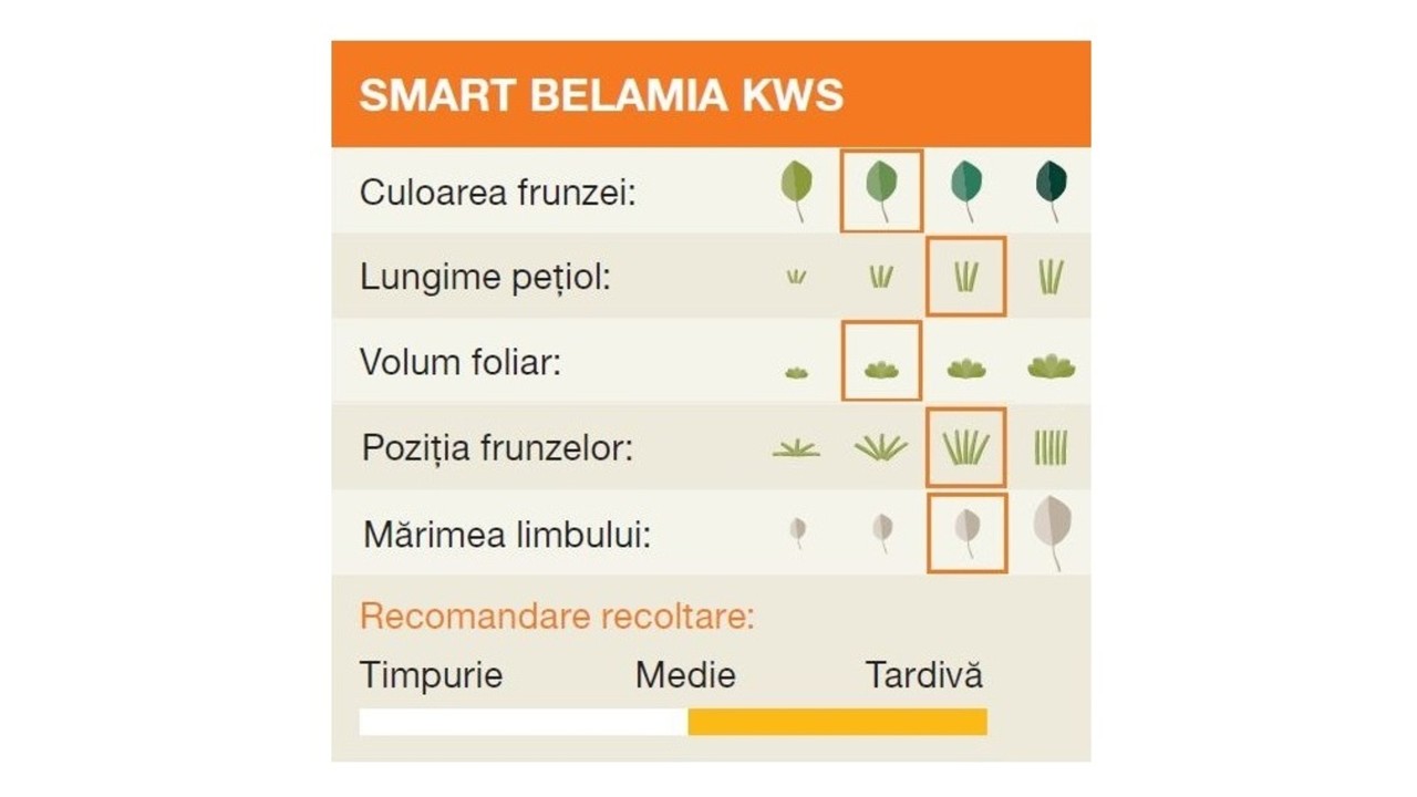 kws_ro_smart_belamia_kws.jpg