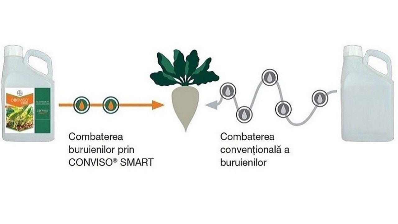 kws_ro_conviso_vs_conventional.jpg