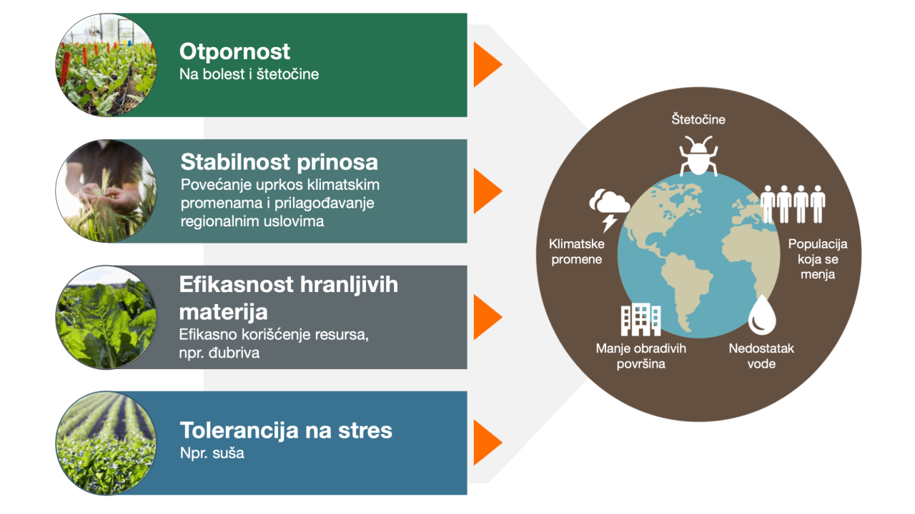 Ciljevi selekcije kompanije KWS