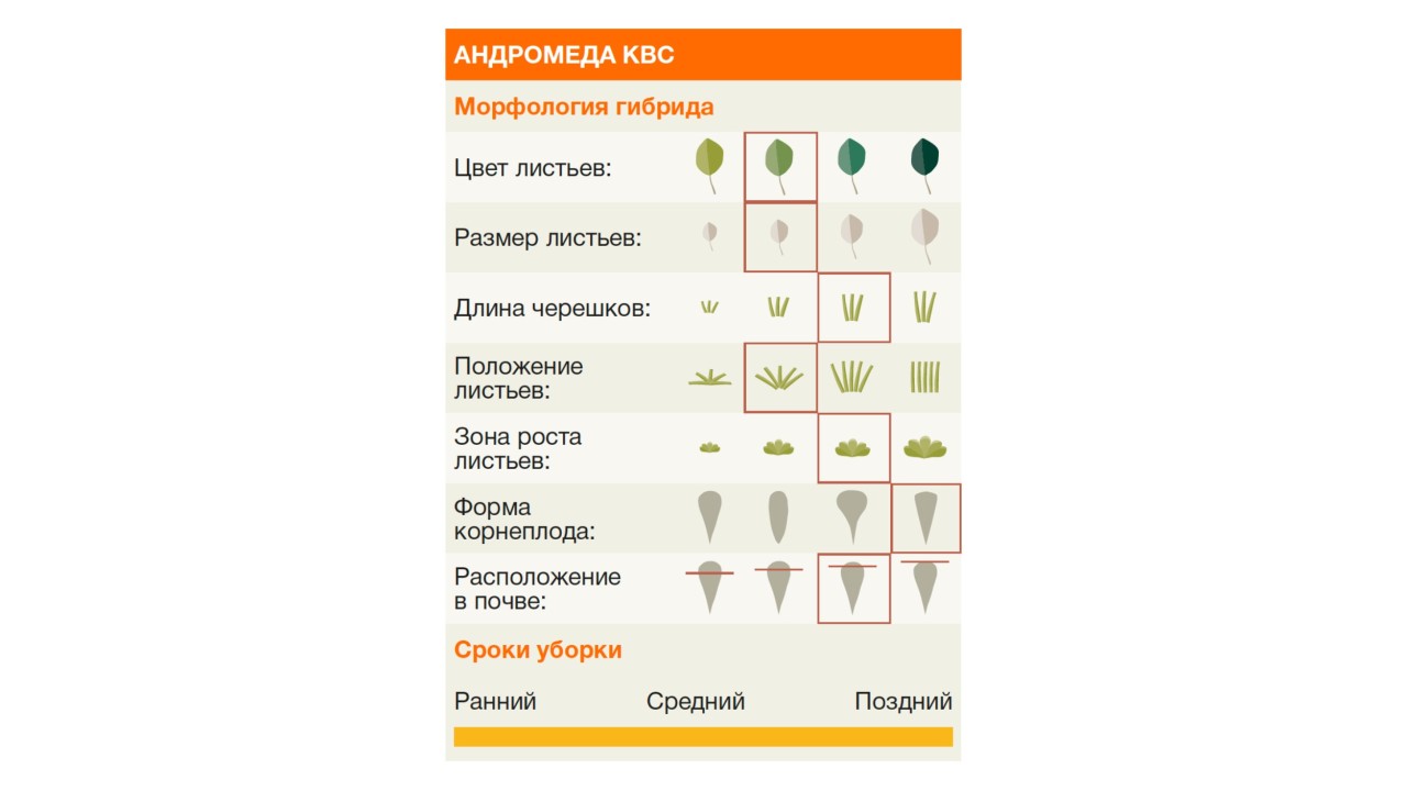 kws_zucker_01______________1.jpg