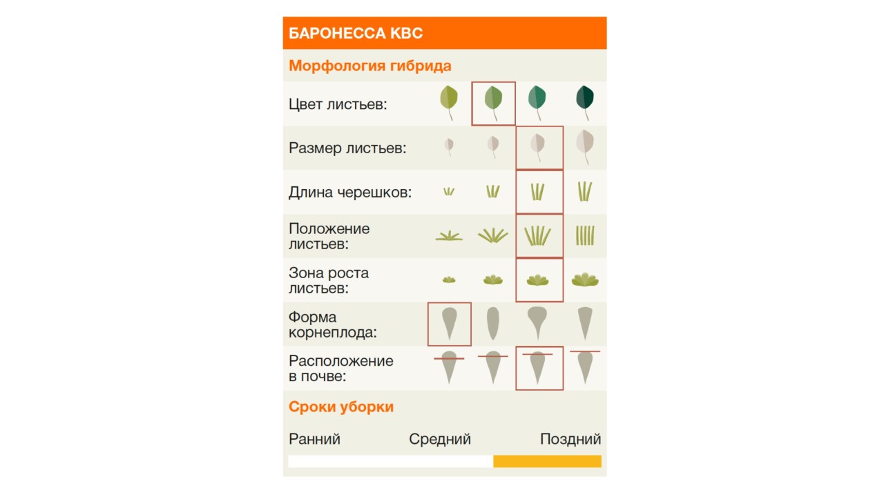 kws_zucker_02______________1.jpg