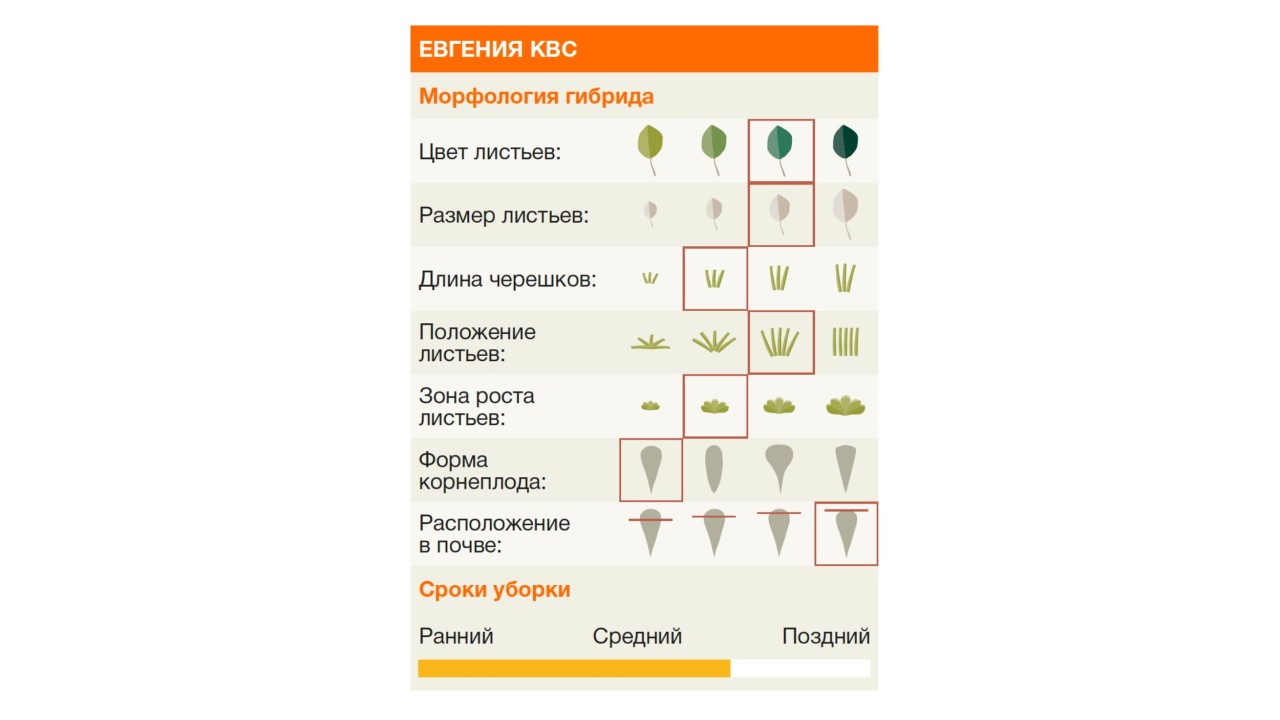 kws_zucker_08____________1.jpg