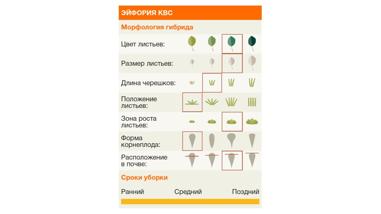 kws_zucker_20____________1.jpg