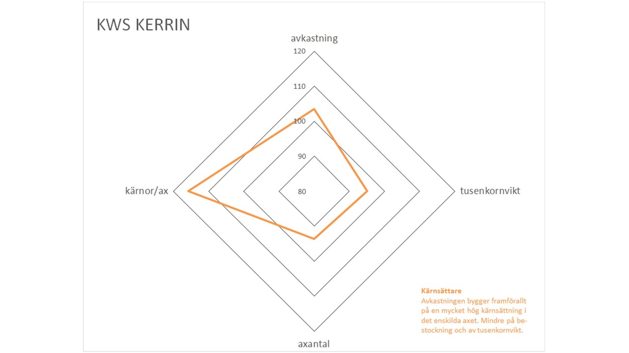 kws_kerrin_grafik2020.jpg