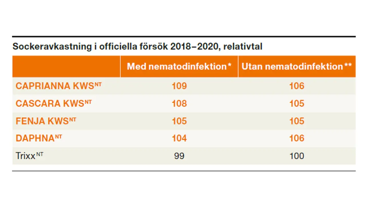 * 100 = 13,7 ton polsocker per ha, 8 officiella försök 2018 – 2020 ** 100 = 14,7 ton polsocker per ha, 17 officiella försök 2018 – 2020