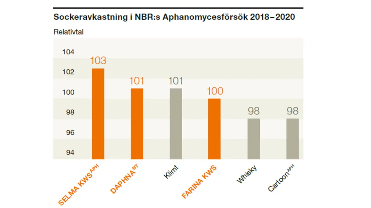 Sockerskörd, rel-tal 100 = 17,6 ton polsocker per ha. 5 officiella försök med Aphanomyces 2018 – 2020.