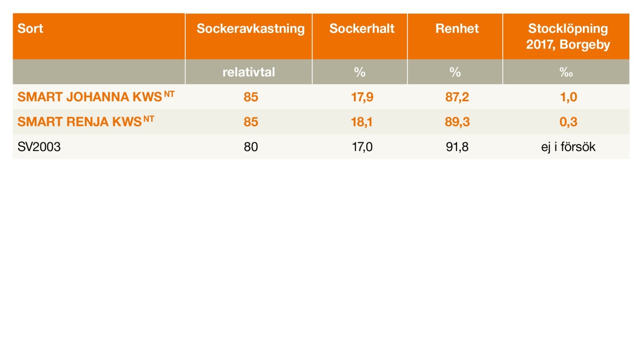 kws_infographic_smart_johanna_kws.jpg