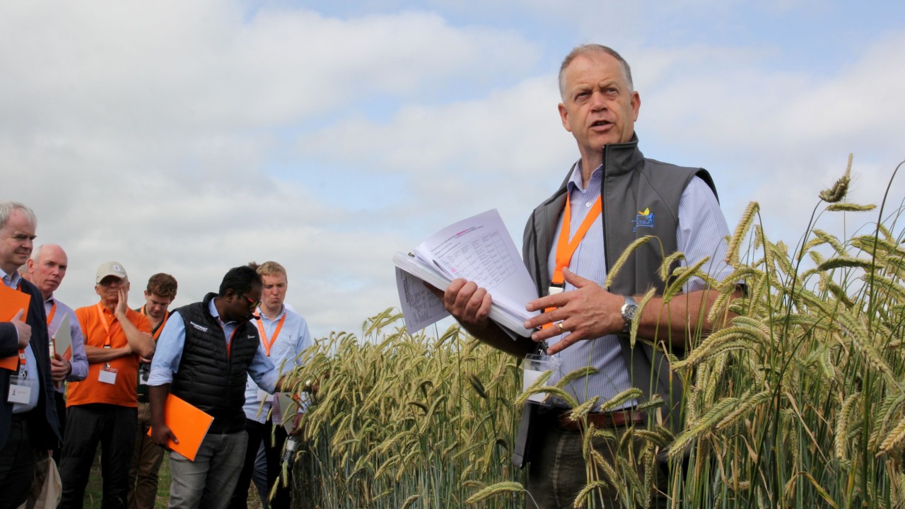 Eric Anderson in Rye field