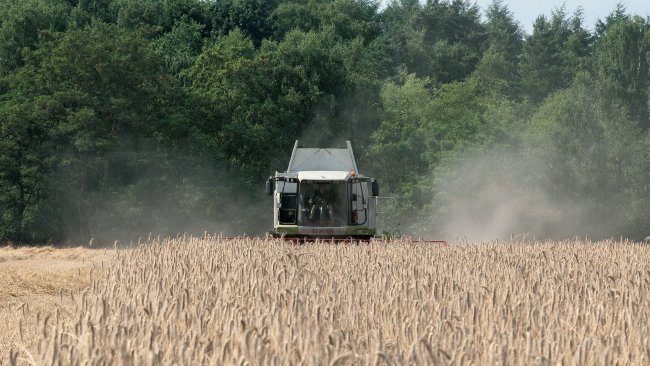 Combining-Hybrid-Rye.jpg