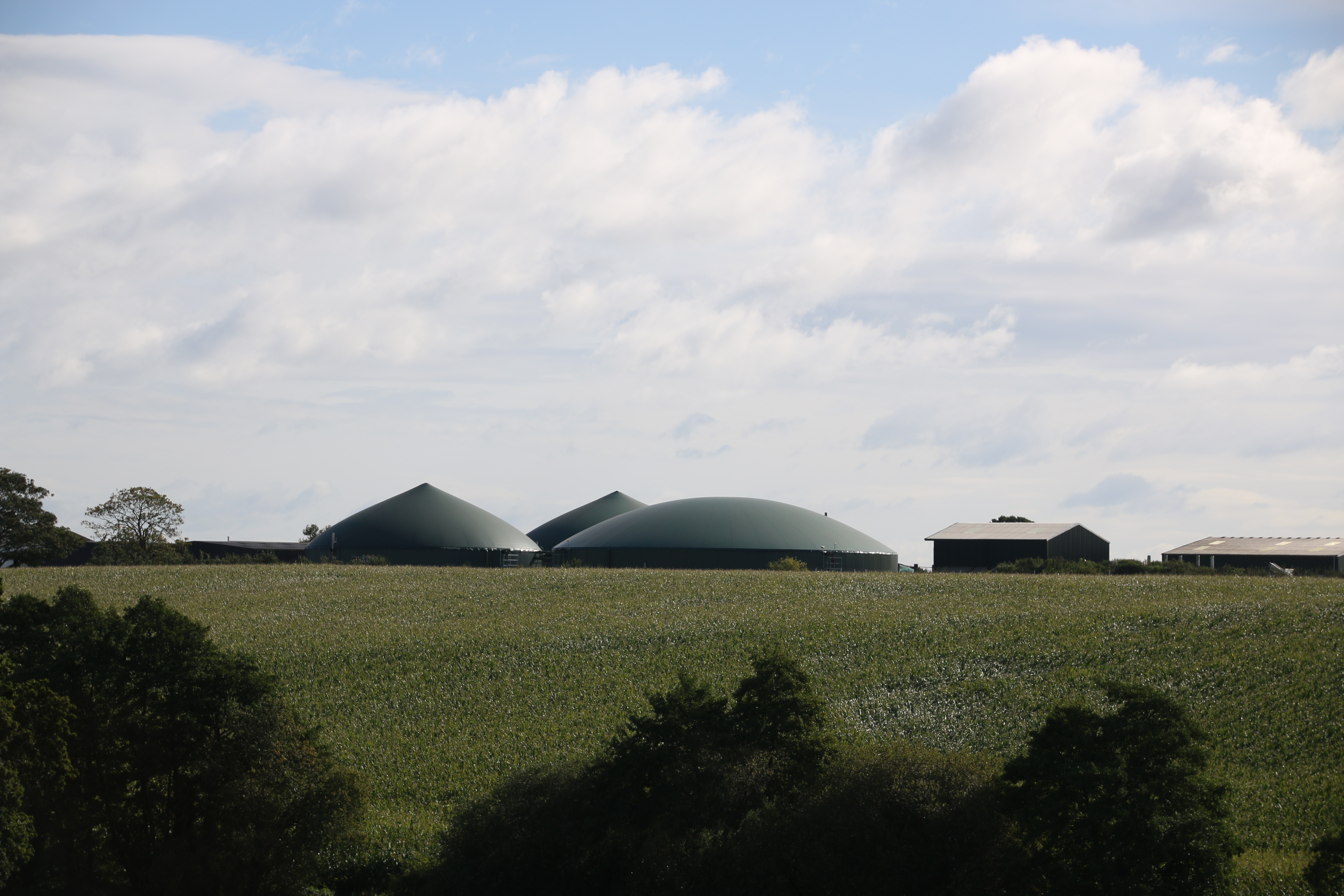Maize-and-Biogas-Plant-Lydney.jpg