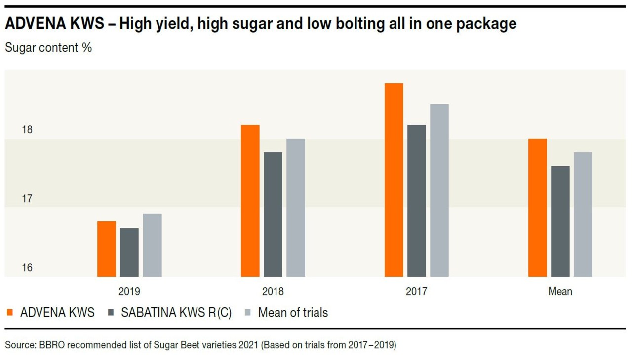 KWS_ADVENAKWS_sugar_beet_graph.jpg