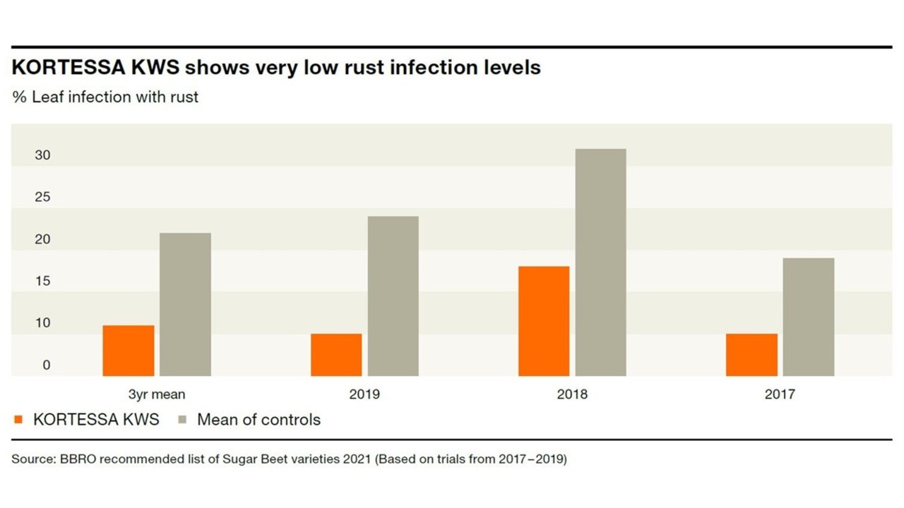 KWS_KORTESSAKWS_sugar_beet_graph_16x9.jpg