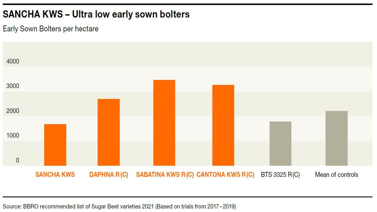 KWS_SANCHAKWS_sugar_beet_graph.jpg
