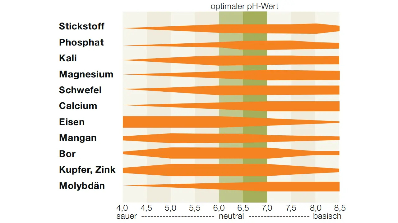 Quelle: effizient Düngen, 2012