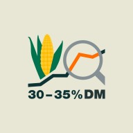 SAT-DM podrška
