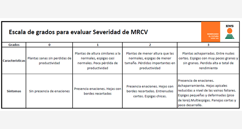 Tabla 1: Descripción y sintomatología de los distintos grados de severidad de la escala (March et al.,1990) de Mal de Rio IV