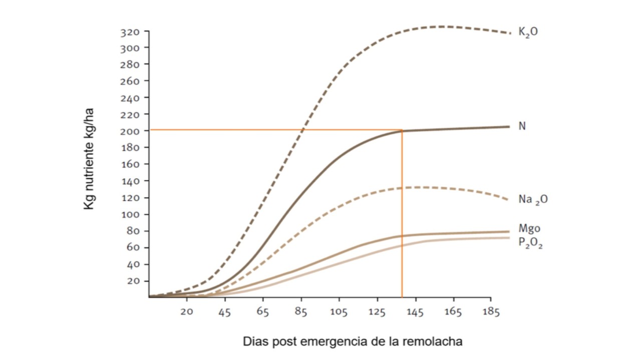 kws_fertilizacion_absorcion_de_nutrientes_cl.jpg