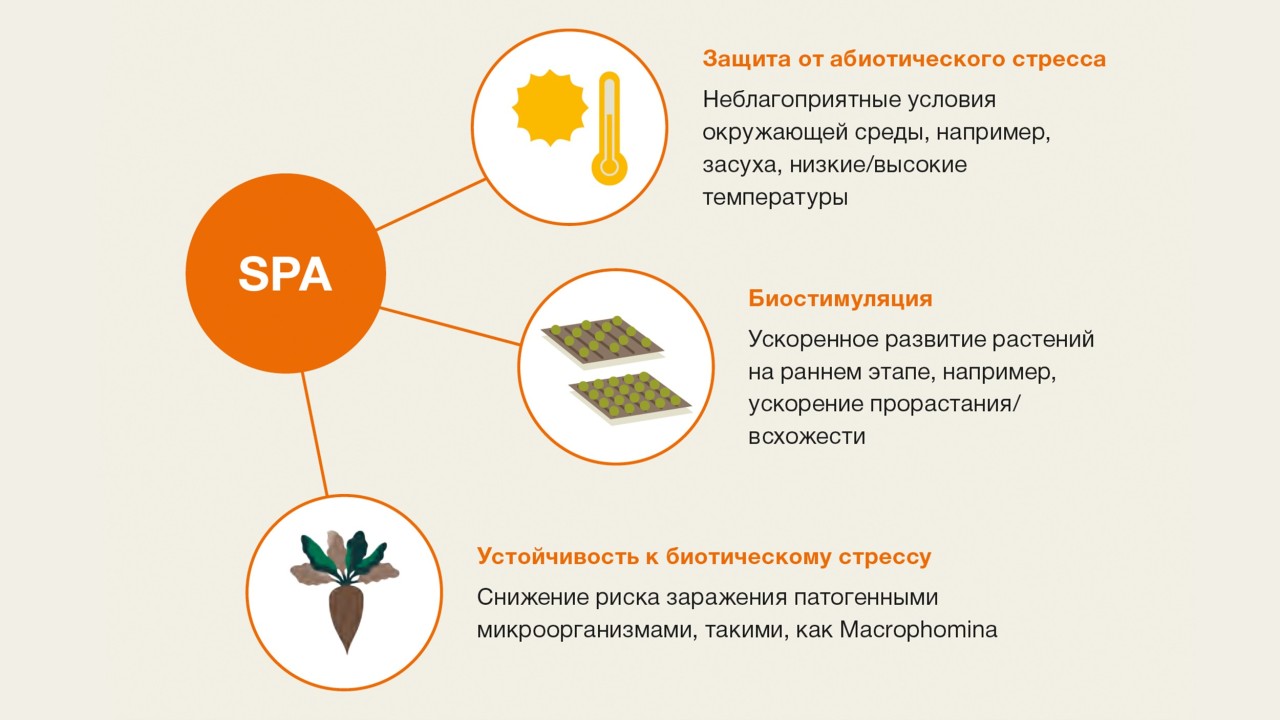 Основные преимущества SPA