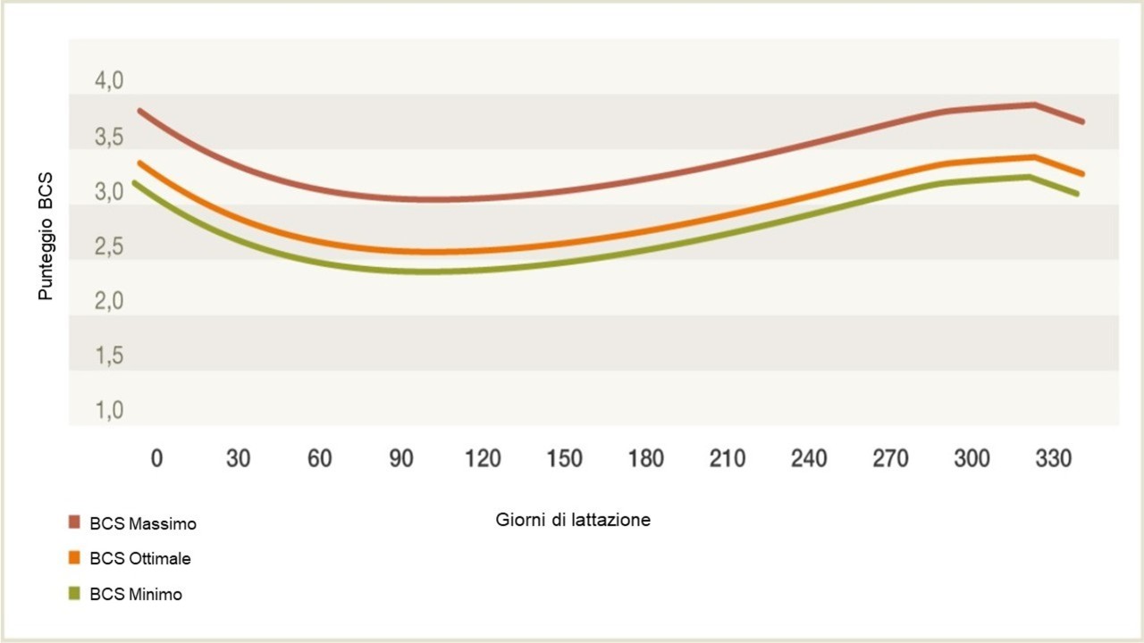 andamento-ottimale-di-curva-BCS.jpg