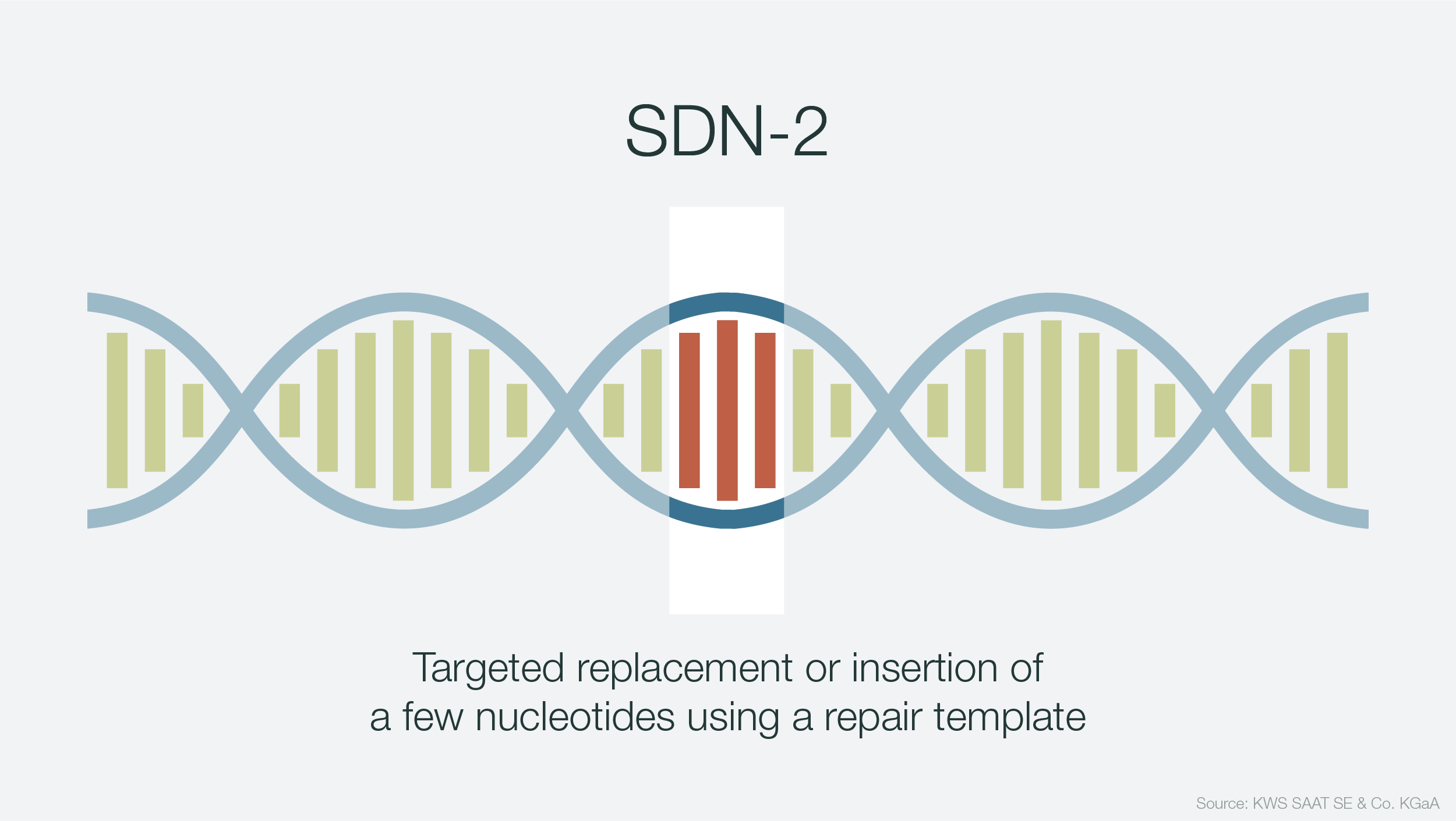 Infographic showing DNA manipulation SDN-2
