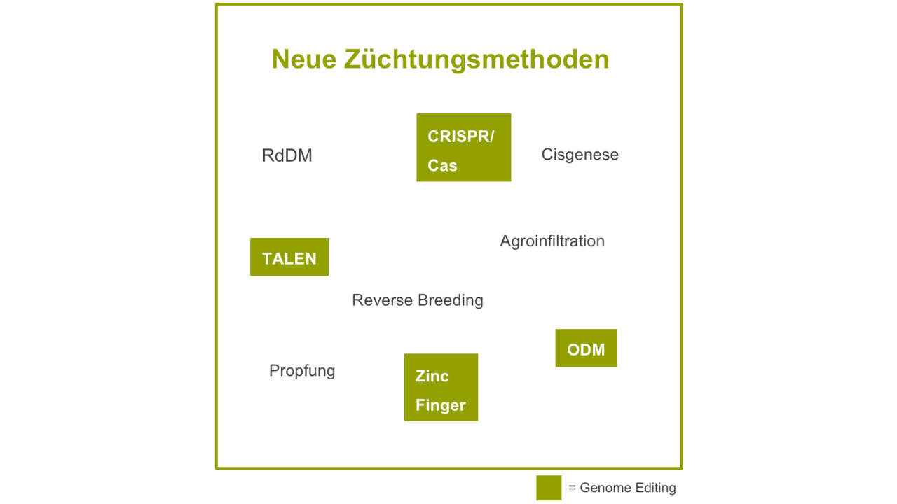KWS_key_visual_neue-zuechtungsmethoden.png