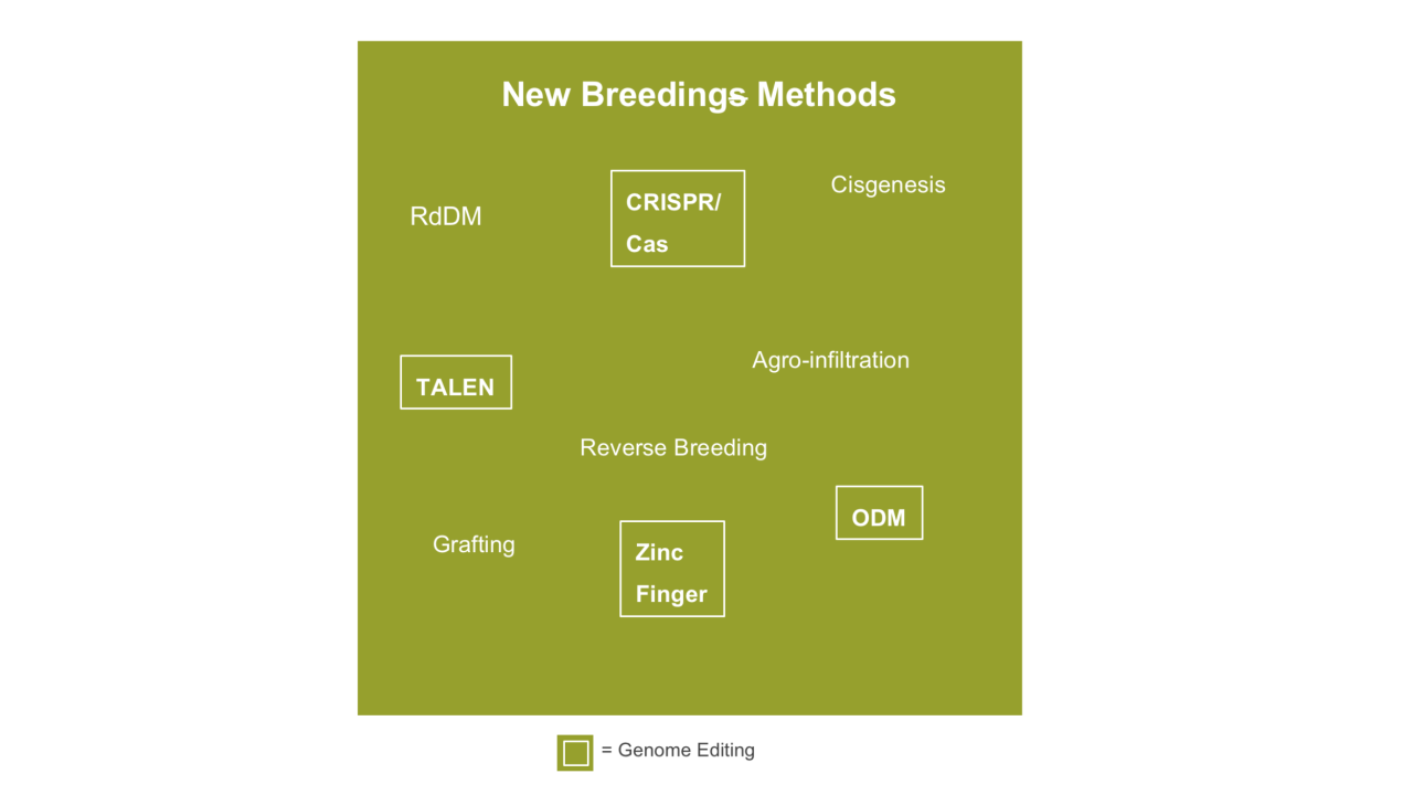 innovation__genome_editing.png