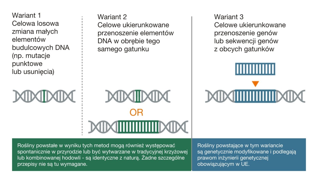 dna.jpg
